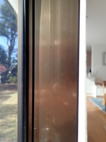 P1250133-e1714550195208